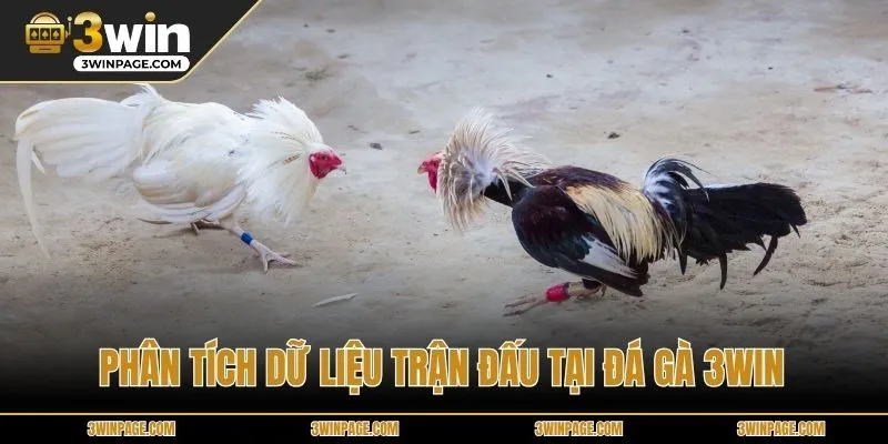 Phân tích dữ liệu trận đấu tại Đá gà 33WIN
